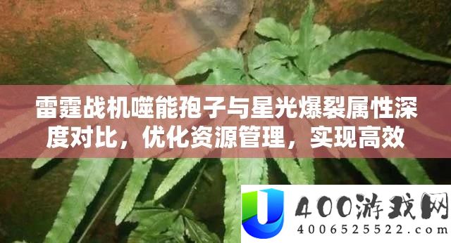 雷霆战机噬能胞子与星光爆裂属性深度对照，优化资本经管，完成高效使用并防止挥霍