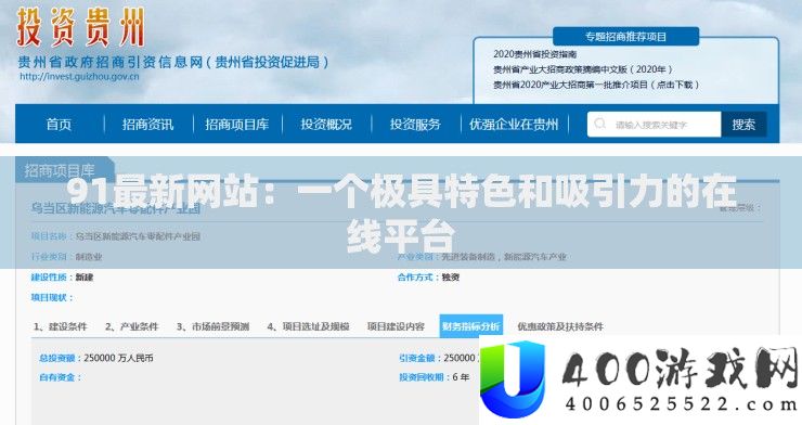 91最新网站：一个极具特点和吸引力的在线平台