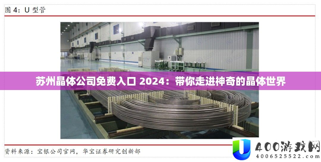 苏州晶体公司收费进口 2024：带你走进奇异的晶体世界