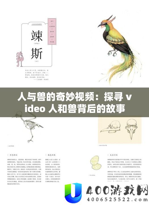 人与兽的奇妙视频：探寻 video 人和兽背后的故事