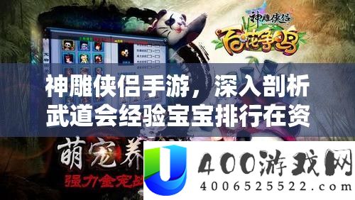 神雕侠侣手游，深入剖析武道会经验宝宝排行在资源管理中的核心作用与优化策略