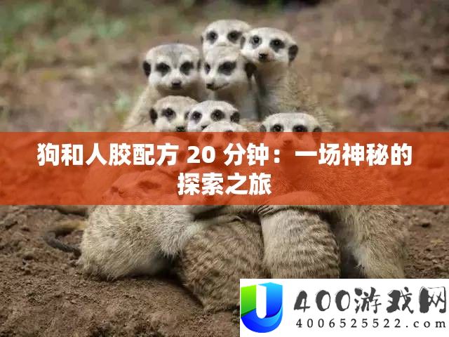 狗和人胶配方 20 分钟：一场奥秘的索求之旅
