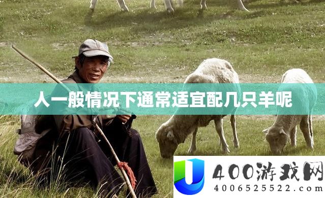 人一般情况下通常适宜配几只羊呢