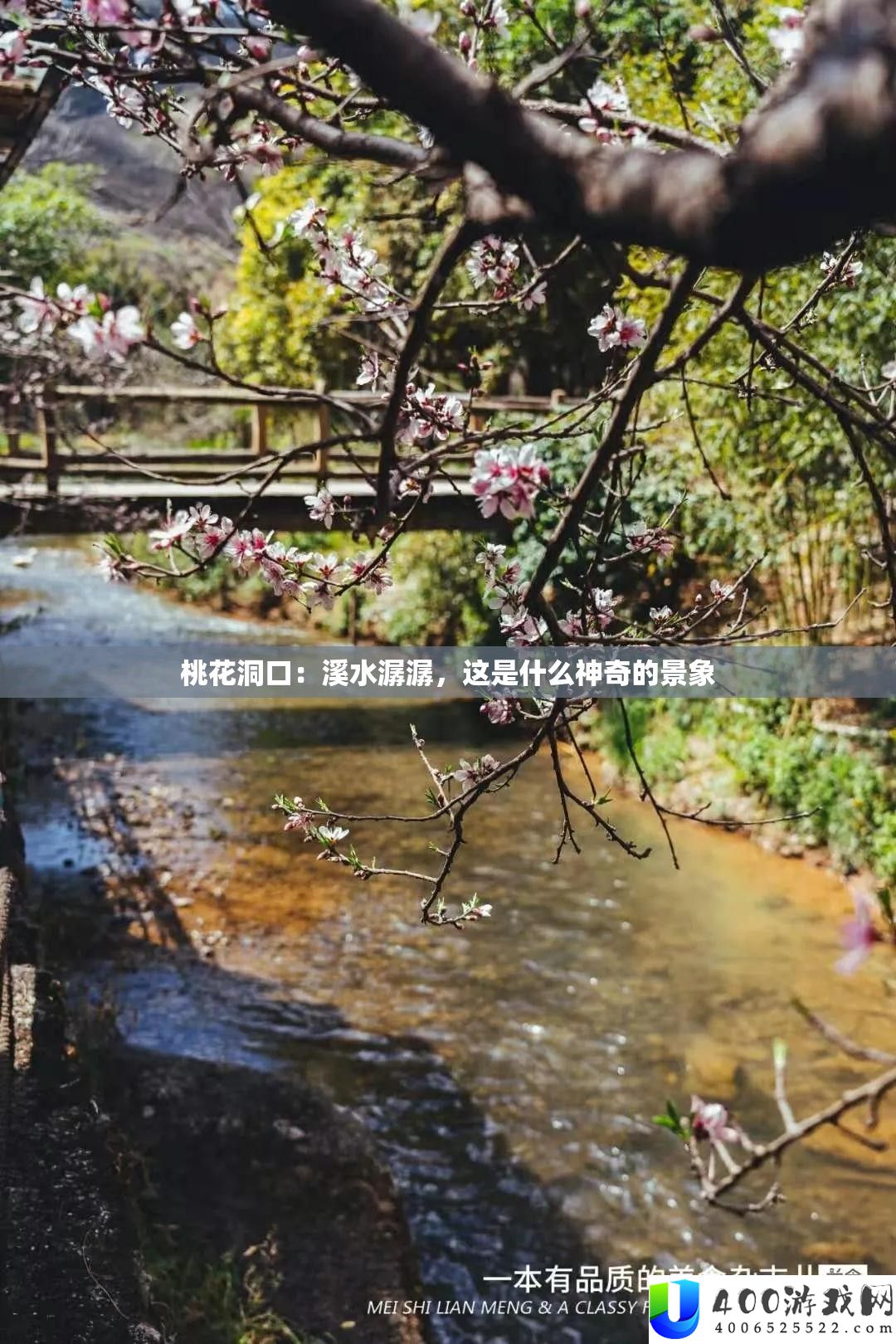 桃花洞口：溪水潺潺，这是甚么奇异的情景