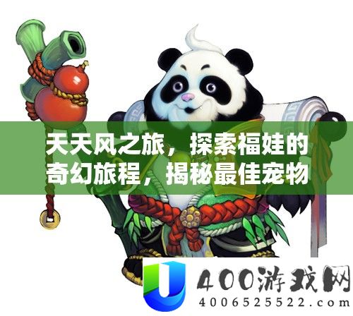 天天风之旅，探索福娃的奇幻旅程，揭秘最佳宠物搭档的奇妙组合！