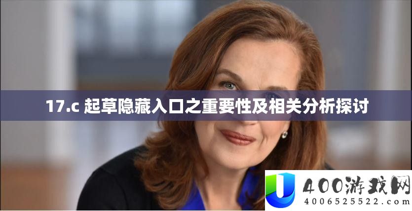 17.c 起草隐藏入口之重要性及相关分析探讨