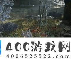 艾尔登法环黑夜君临魔法师塔怎样解密-艾尔登法环黑夜君临魔法师塔解密攻略