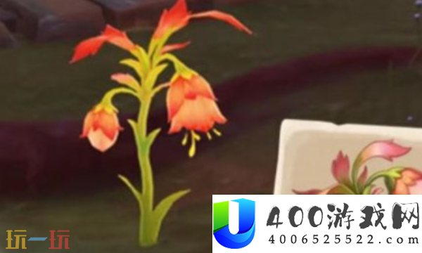 原神悼灵花在哪-悼灵花收集线路技巧