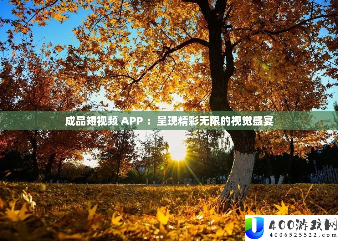成品短视频 APP ：呈现精彩无限的视觉盛宴
