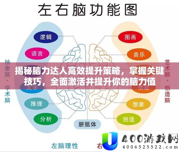 揭秘脑力达人高效提拔技巧，把握关头技能，周全激活并提拔你的脑力值