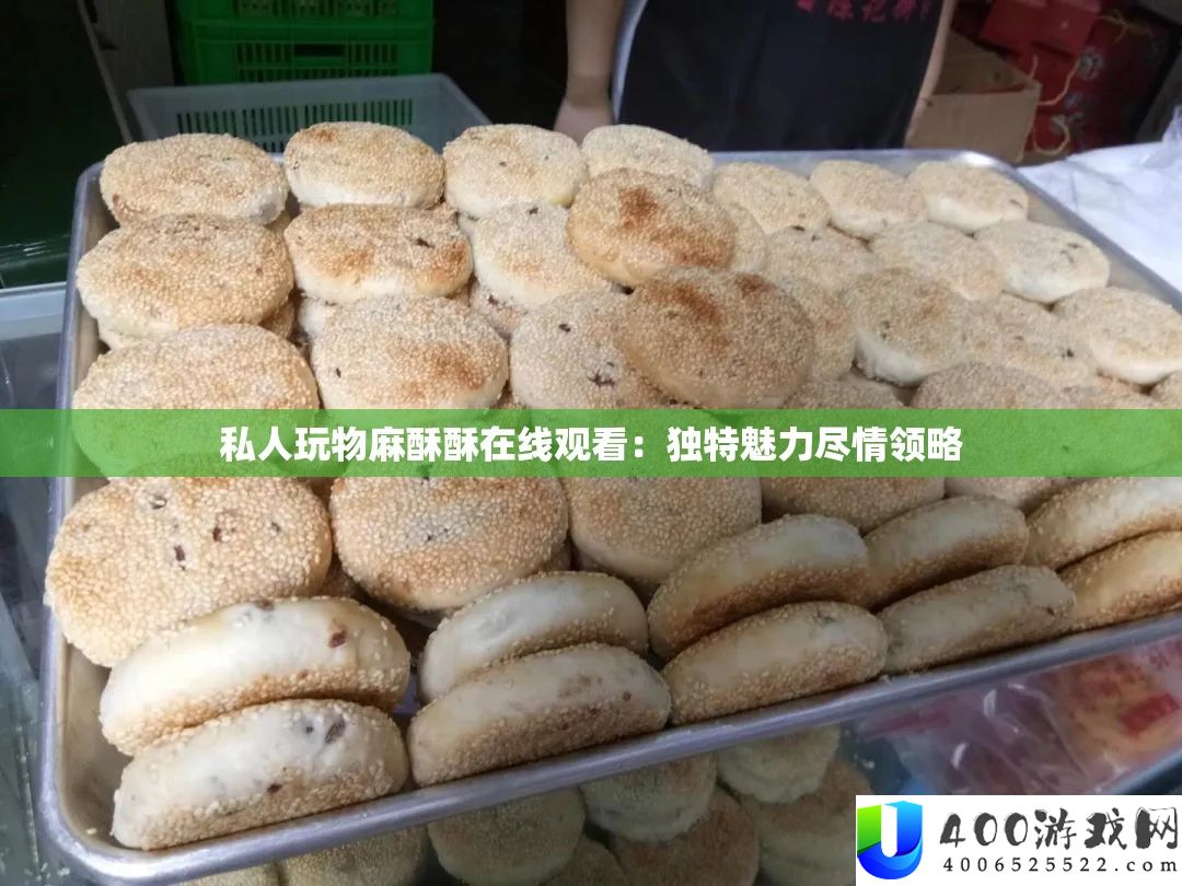 私人玩物麻酥酥在线观看：独特魅力尽情领略