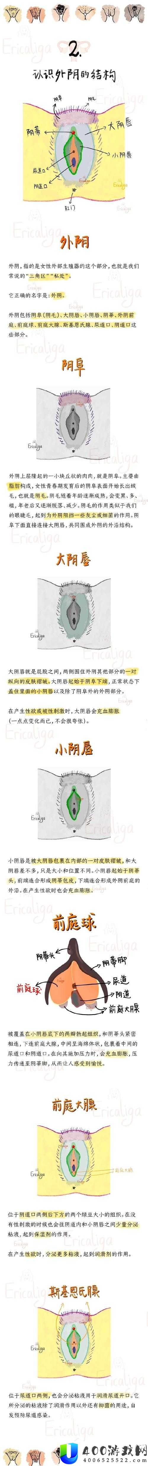 呦小性