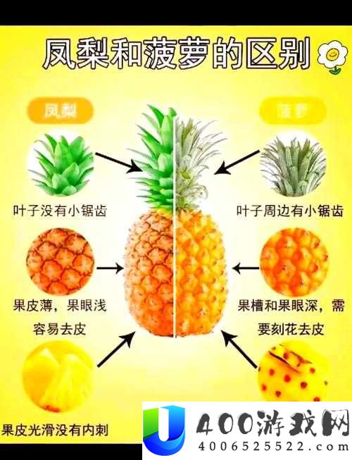 小森生活菠萝究竟隐藏何处