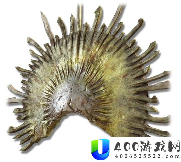 艾尔登法环褪色者DLC装备背景故事讲解
