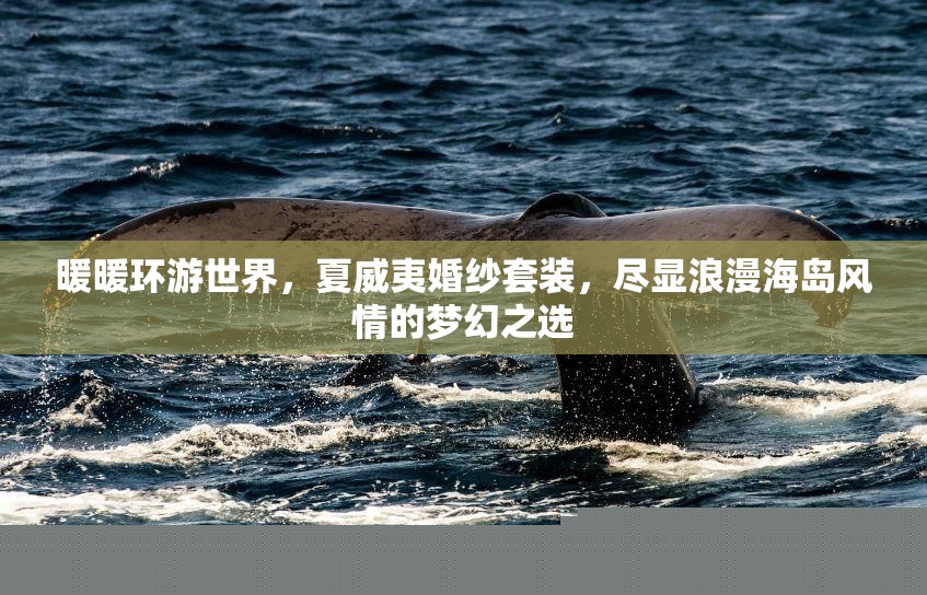暖暖环游世界
