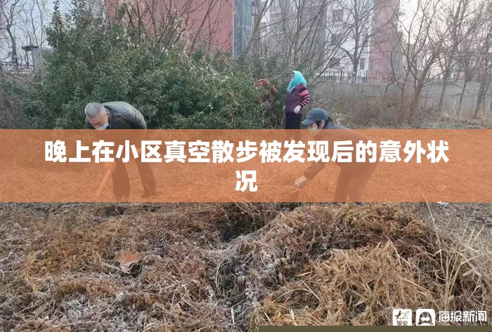 晚上在小区真空散步被发现后的意外状况