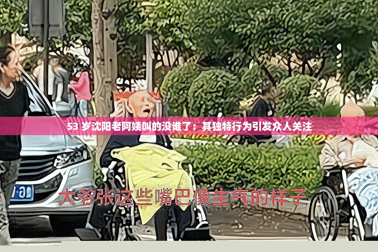 53岁沈阳老阿姨的独特表现：引发广泛关注