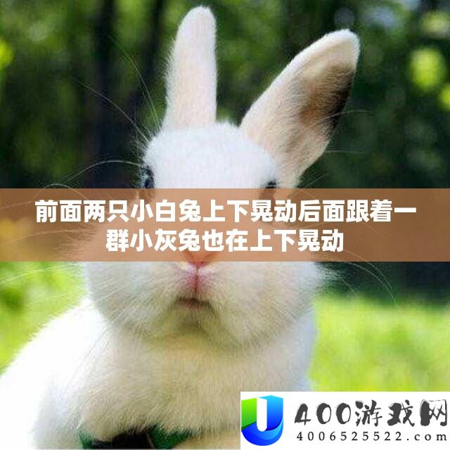 前面两只小白兔上下晃动后面跟着一群小灰兔也在上下晃动