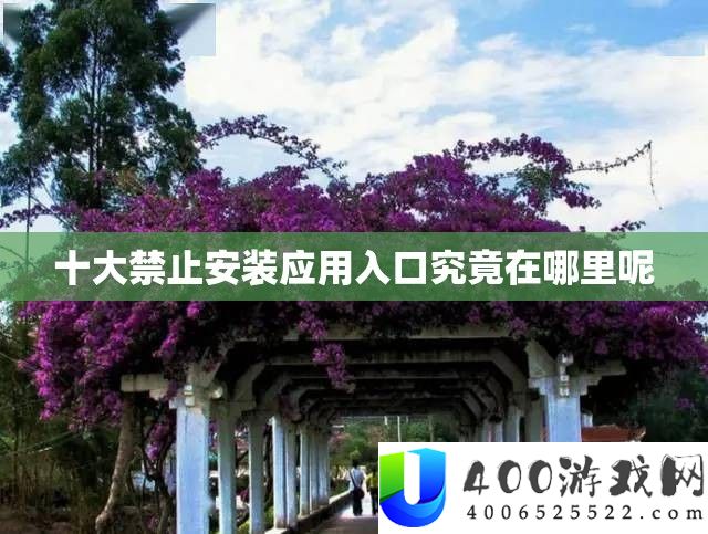 十大禁止安装应用入口究竟在哪里呢