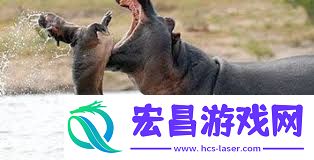 河马剧院保险吗-河马剧院能否保险