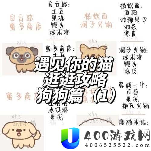 遇见你的猫考试难关怎么过？全关卡通关攻略与高分技巧大揭秘