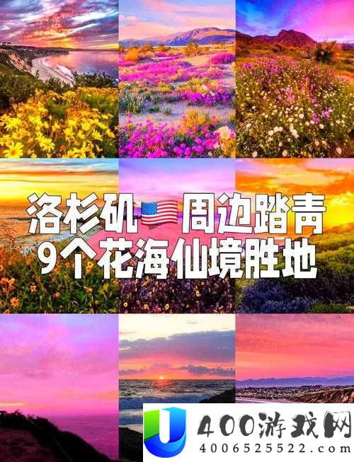 探索欧美 13 处绝美赏花胜地：自然与文化完美融合的旅行指南