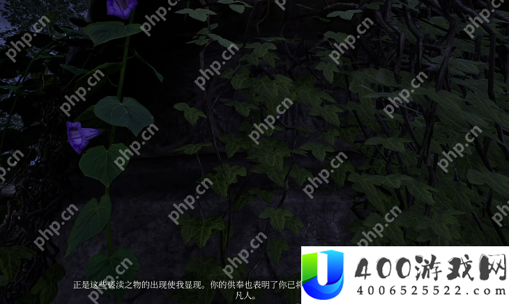 上古卷轴4重制版