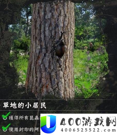 红色沙漠挑战任务蝴蝶收集攻略