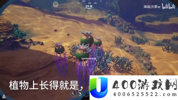 深海迷航2死腐水母包囊位置说明
