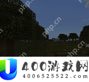 我的世界