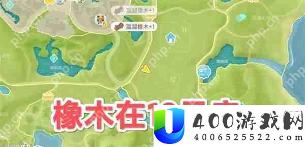 心动小镇5.9溜溜橡木与无瑕萤石位置