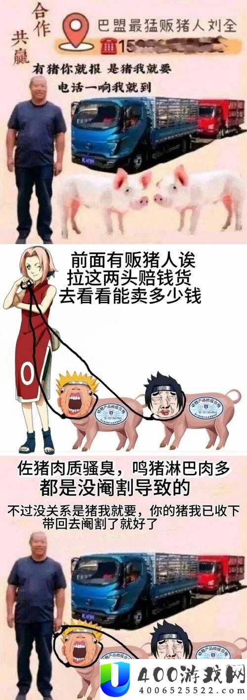 日本 ZOZZO 视频争议真相：人禽内容引发全网热议，你怎么看？