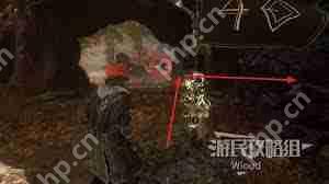 光与影33号远征队拾荒结怎么获取-光与影33号远征队拾荒结获取途径