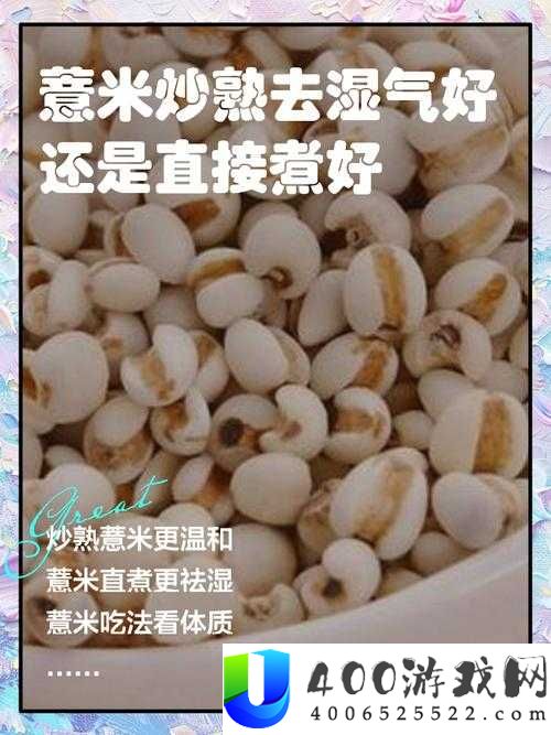 江南百景图薏米究竟如何获取？全面揭秘薏米获取方法！