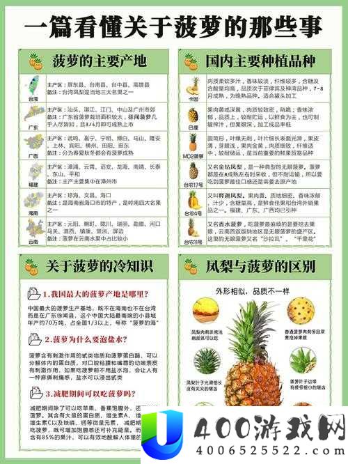 2022 福建大菠萝官网最新动态：产品与服务全解析