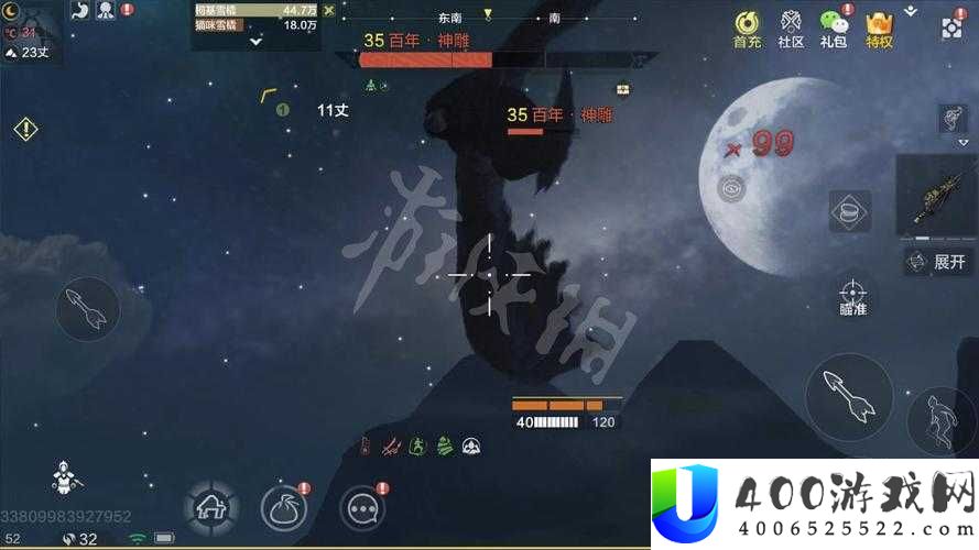 妄想山海中如何成功捕捉神秘神雕？全面解析神雕捕捉攻略！