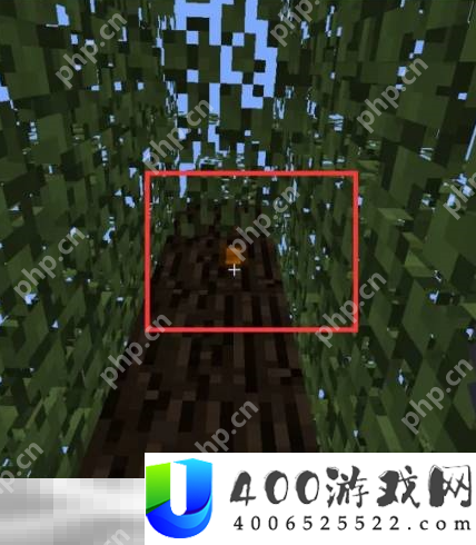 我的世界橡胶树上的橡胶怎么获取 橡胶详细获取流程介绍