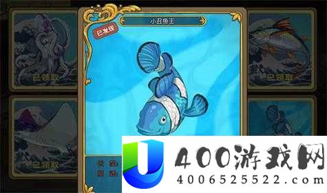 小森生活小丑鱼怎么钓？最全垂钓位置与技巧攻略