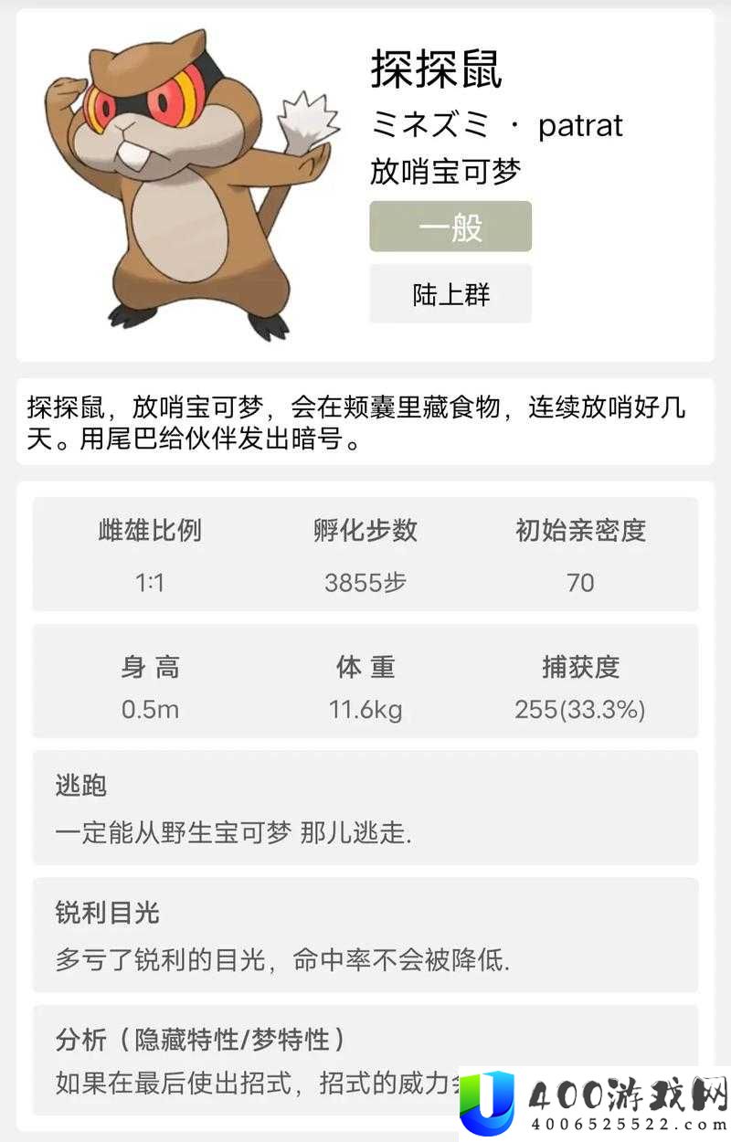宝可梦大探险穿山鼠食谱配方揭秘：隐藏的秘密与技巧