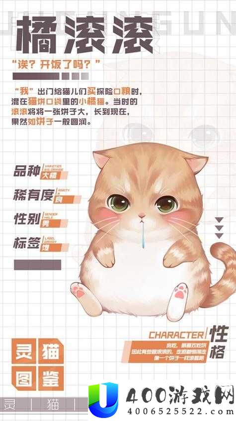 灵猫传橘苗苗究竟如何？全面揭秘灵猫属性攻略悬念解析