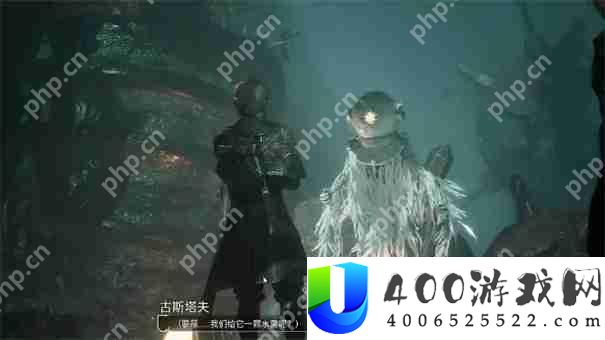 光与影33号远征队雷灵打不打