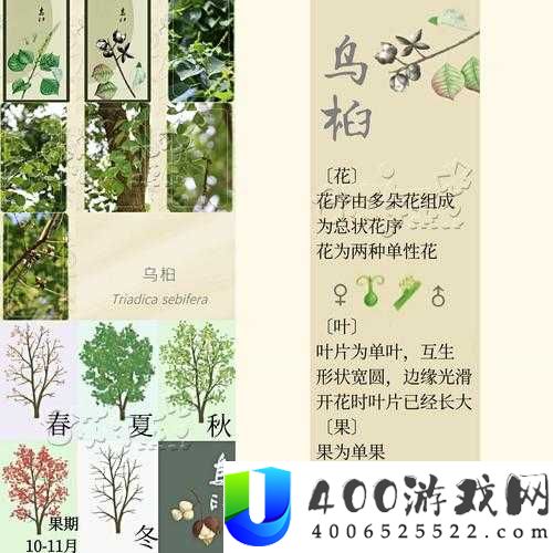 老农种树如何巧妙赠送树种子给邻居？揭秘赠送方法及资源管理奥秘