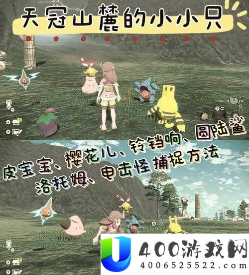 像素时代如何高效抓兔子？打猎技巧与攻略大揭秘！
