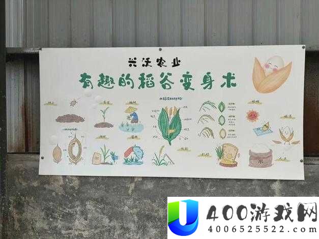 老农种树秘籍揭秘，种子如何一步步长成参天大树，种植攻略经历了哪些变革？