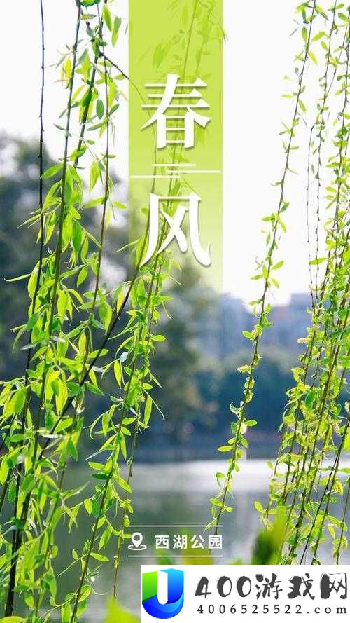 50 岁的春天，手机成了他的第二春