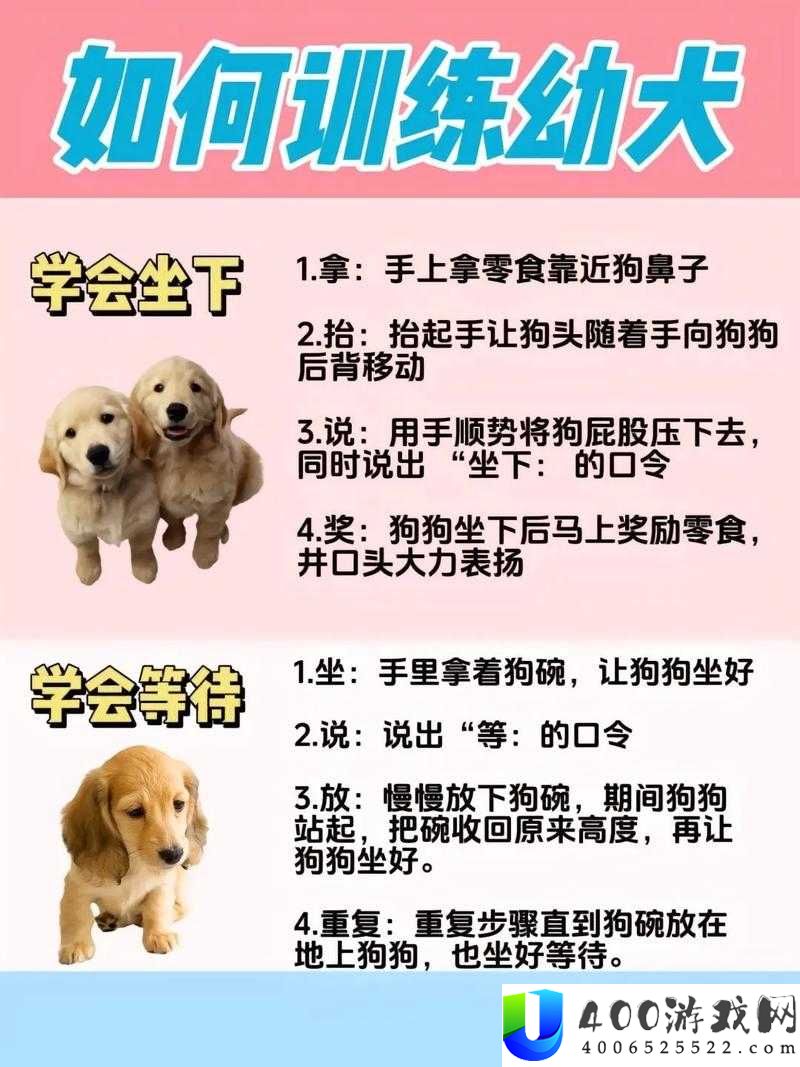60条狗的养护与训练全攻略：从幼犬到成犬的全面指南