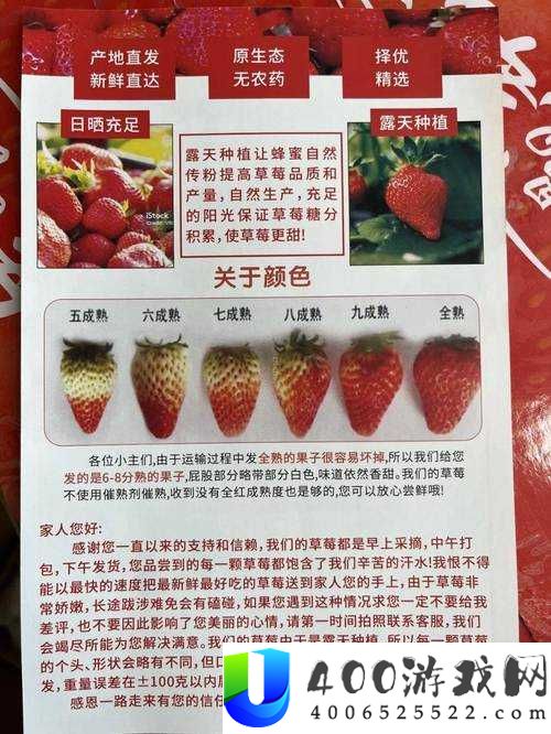 旧版本草莓视频全面解析：功能、使用体验与用户反馈深度探讨