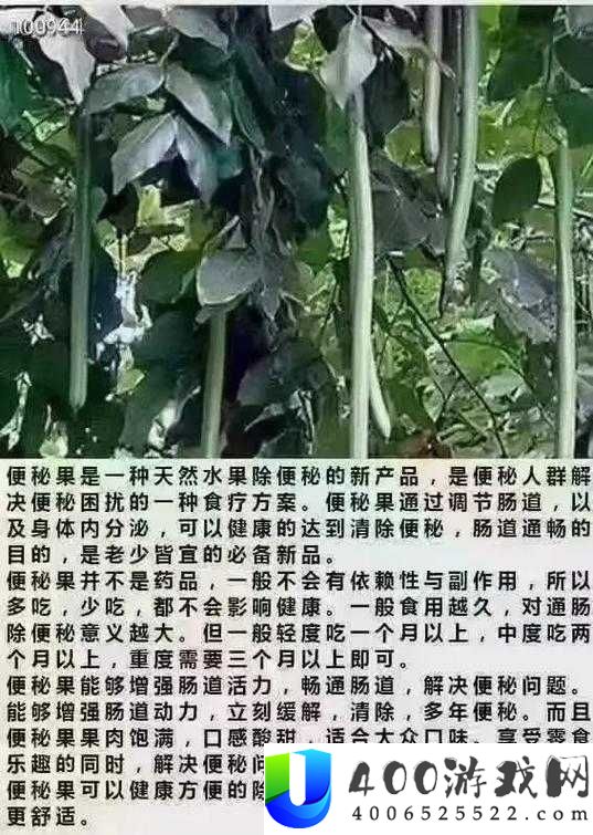 果味型果冻真的能有效缓解便秘吗