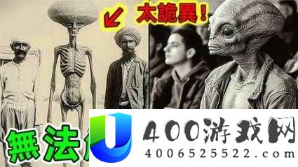 揭秘女人与骡子做爰视频背后的真相：网友热议的离奇事件全解析