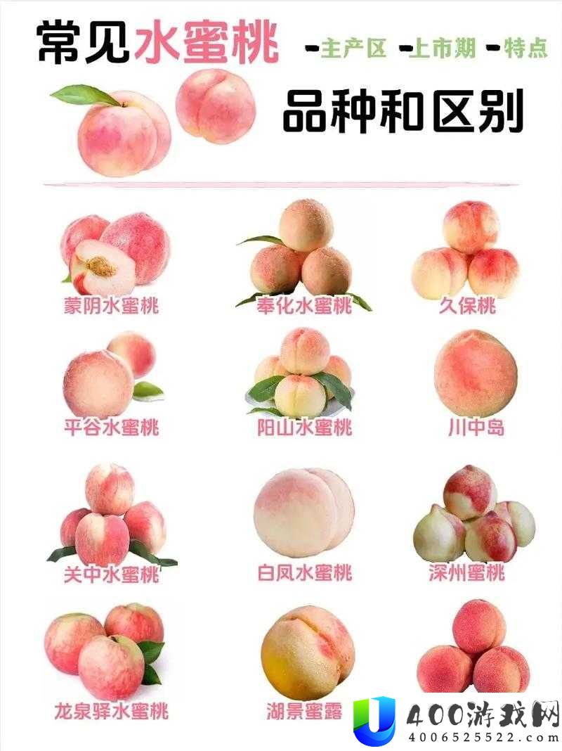如何挑选水蜜桃？亚洲精品水蜜桃有哪些特点？
